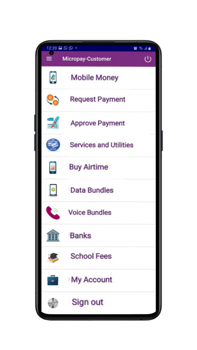 MicroPay App Screenshot 2